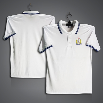 Picture of Bangladesh Navy Jersey For Men - Half Sleeve Collar Polo t shirt - Navy t shirt