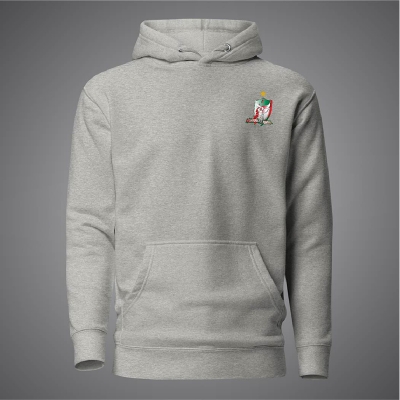 Picture of Fortune Barishal Hudi For Men - Premium Cricket Hoodies For Men - Barishal Cricket Hudibd