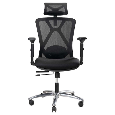 Picture of REGAL Office Swivel Chair Ergonomic Chair- B31