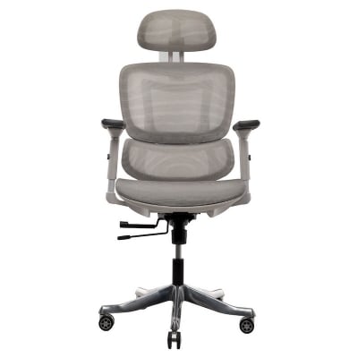 Picture of REGAL Office Swivel Chair Ergonomic Chair- ZF01
