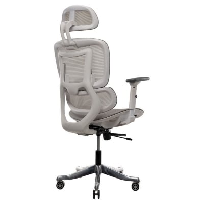 Picture of REGAL Office Swivel Chair Ergonomic Chair- ZF01