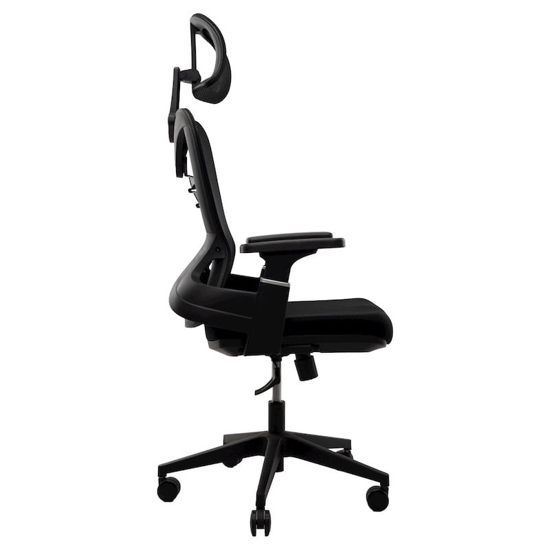 Picture of REGAL Office Swivel Chair Ergonomic Chair- B38