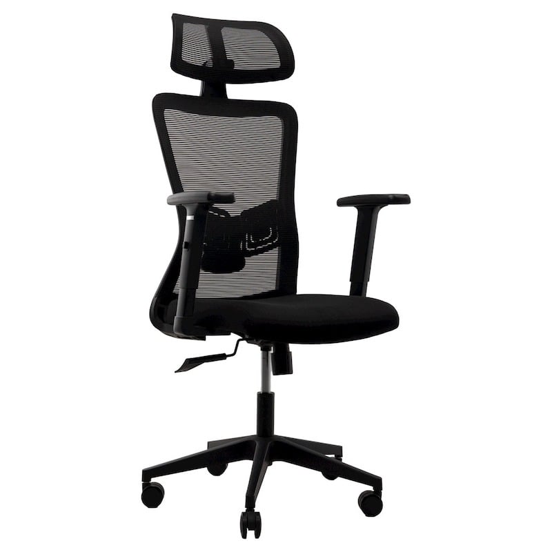 Picture of REGAL Office Swivel Chair Ergonomic Chair- D86