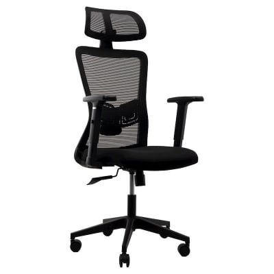 Picture of REGAL Office Swivel Chair Ergonomic Chair- D86