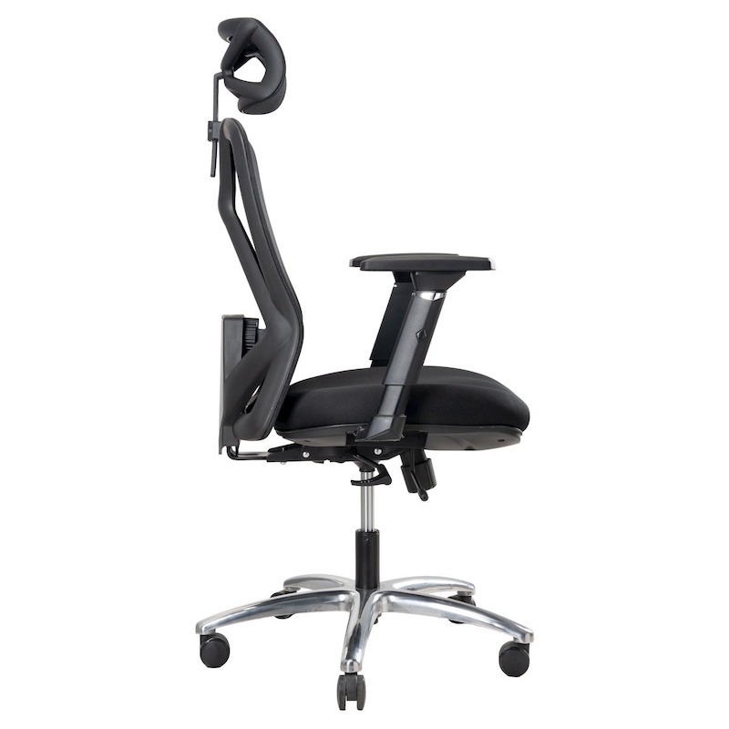 Picture of REGAL Office Swivel Chair Ergonomic Chair- B31
