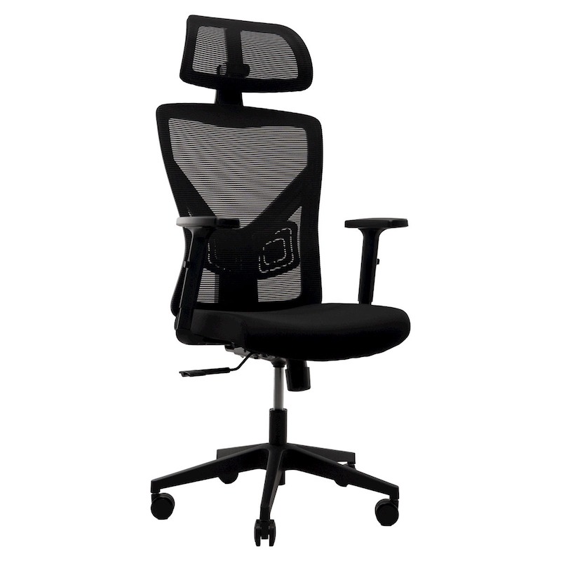 Picture of REGAL Office Swivel Chair Ergonomic Chair- B37