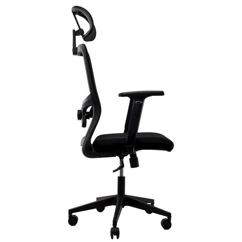 Picture of REGAL Office Swivel Chair Ergonomic Chair- D86