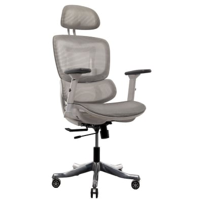 Picture of REGAL Office Swivel Chair Ergonomic Chair- ZF01