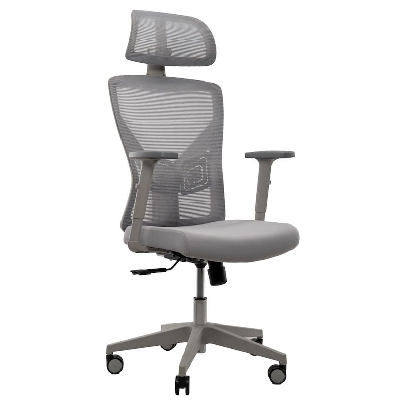 Picture of REGAL Office Swivel Chair Ergonomic Chair- B37