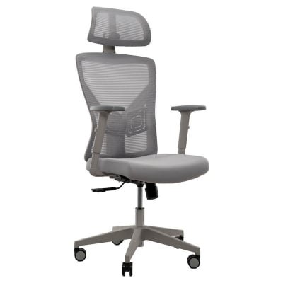 Picture of REGAL Office Swivel Chair Ergonomic Chair- B37