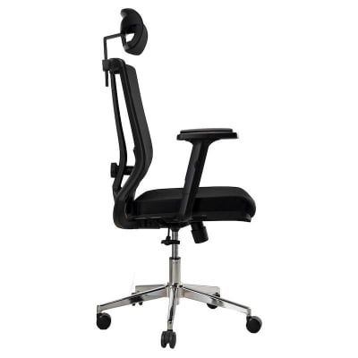 Picture of REGAL Office Swivel Chair Ergonomic Chair- B36