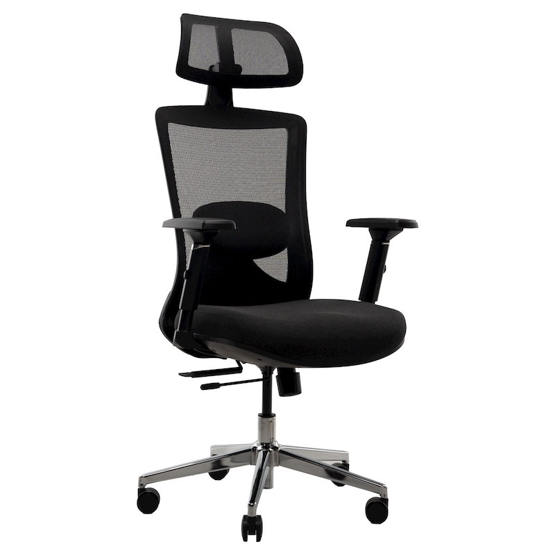 Picture of REGAL Office Swivel Chair Ergonomic Chair- B35