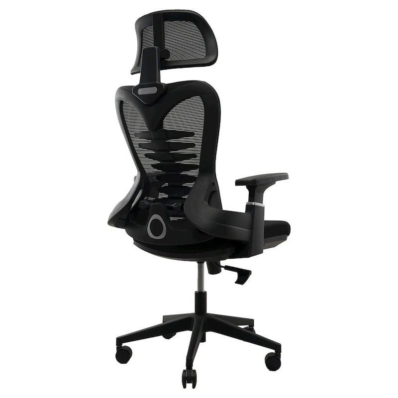 Picture of REGAL Office Swivel Chair Ergonomic Chair- B38