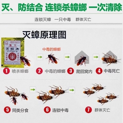 Picture of Cockroach Killing Bait 3pic