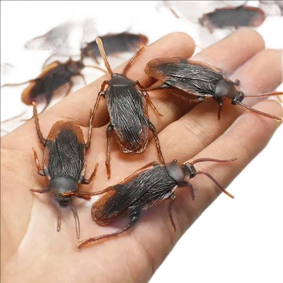 Picture of Children Realistic Toy Cockroach Prank Toy