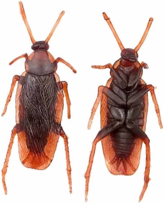 Picture of Children Realistic Toy Cockroach Prank Toy