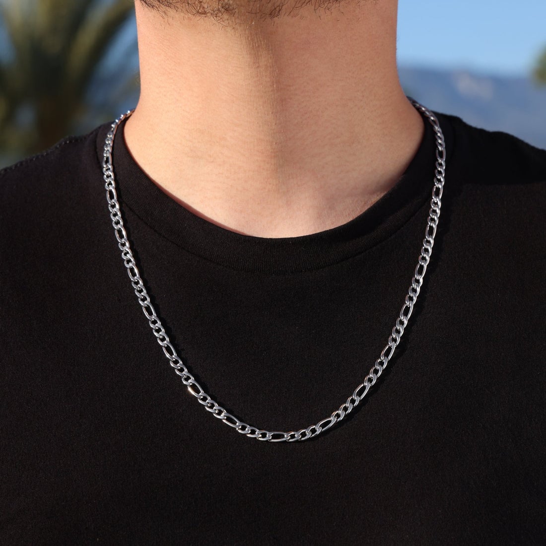 Picture of Viking Wolf Raven Pendant Necklace for Men Stainless Steel Geometric Chain