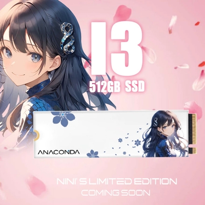 Picture of Anacomda NINI Special Edition 512GB M.2 NVMe PCIe Gen3x4 SSD(Multicolor,512GB)