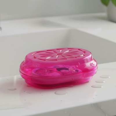 Picture of Soap Case - 1 Piece