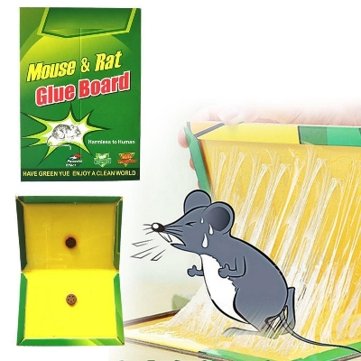 Picture of 5 Pieces Rat and Mouse Glue Trap board