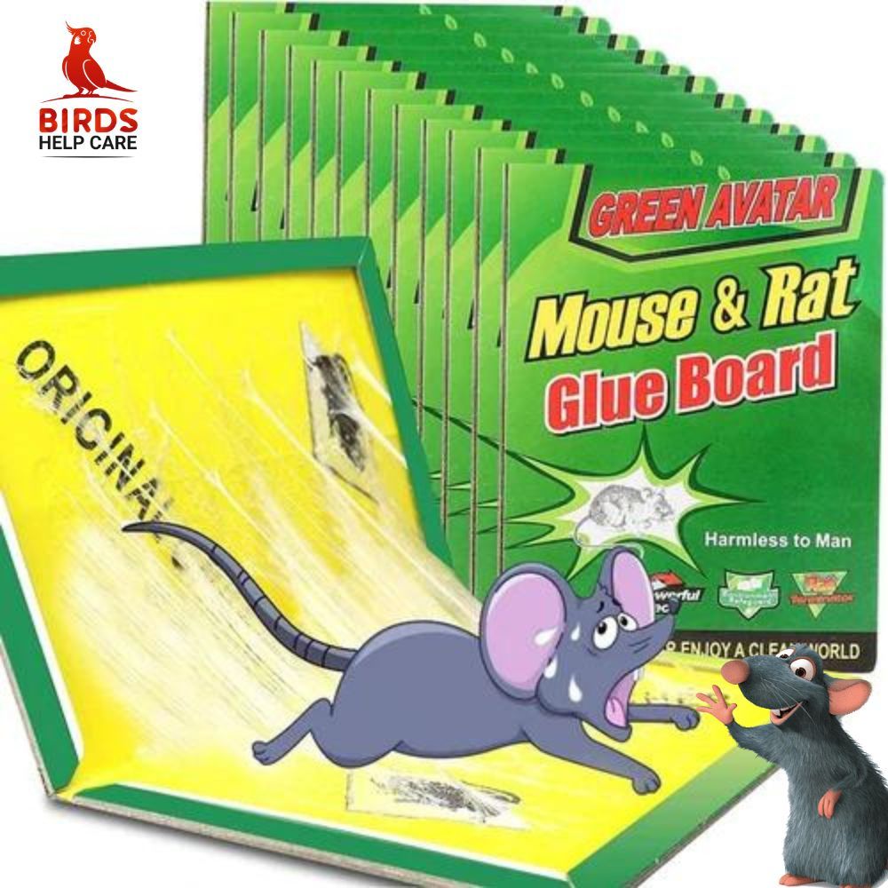 Picture of 5 Pieces Rat and Mouse Glue Trap board