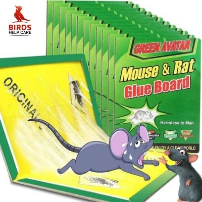 Picture of 5 Pieces Rat and Mouse Glue Trap board