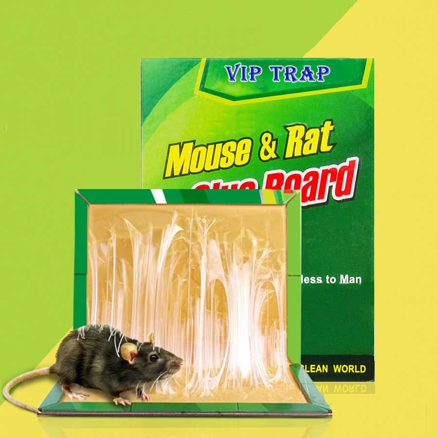 Picture of 3 Pieces Rat and Mouse Glue Trap