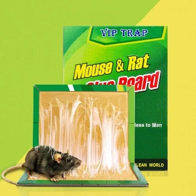 Picture of 3 Pieces Rat and Mouse Glue Trap