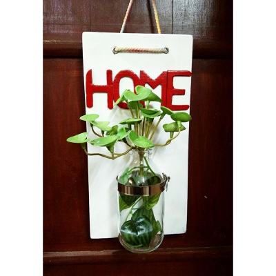 Picture of Modern Glass jar flower vase (Mixture)