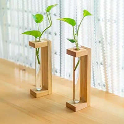 Picture of Handmade Wooden Test Tube Planter - Wall Decoration (Wood, Dark Chocolate)