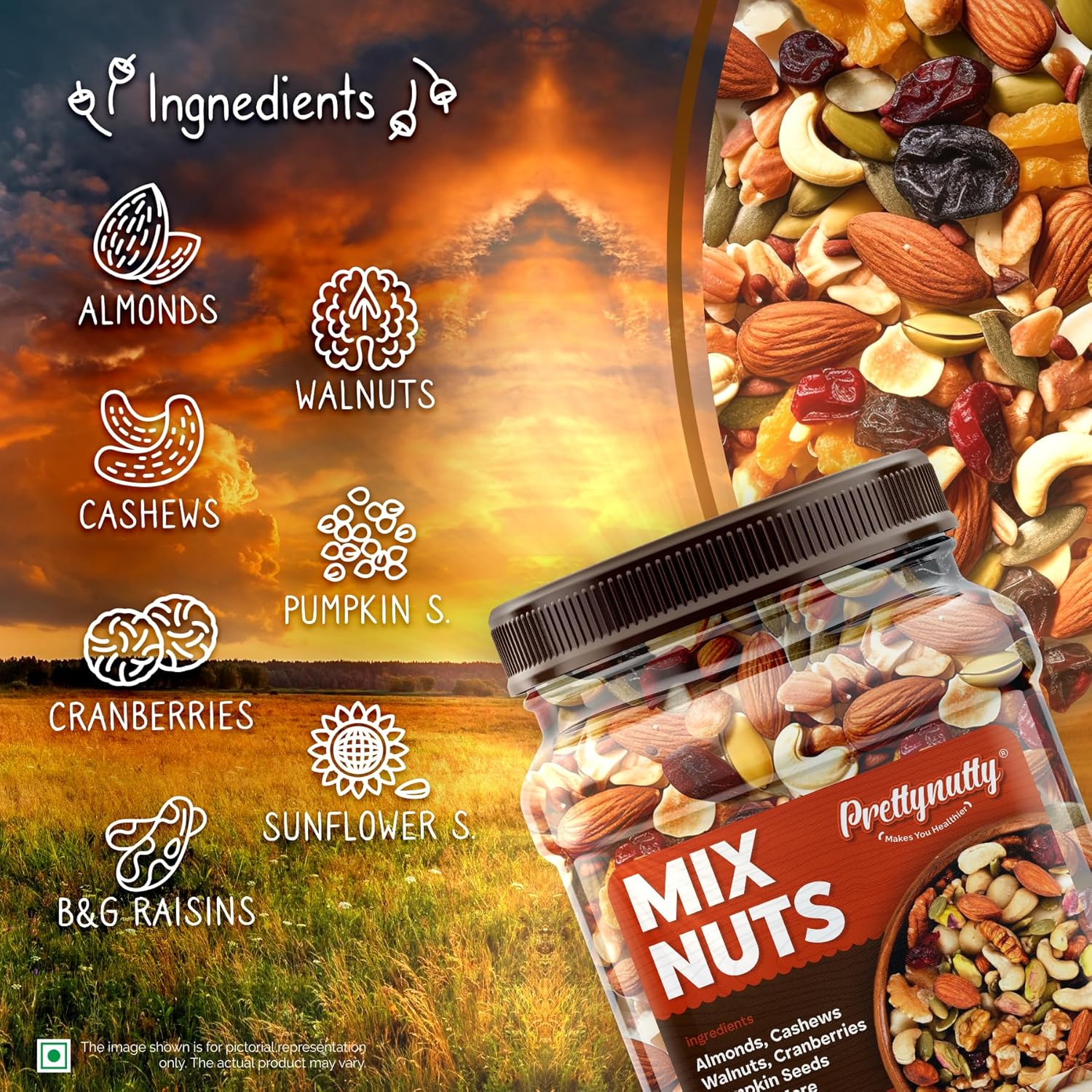 Picture of PrettyNutty Healthy Nutmix  Dried Almonds, Black Raisins, Cashewnuts, Cranberries,  & Many More 500g