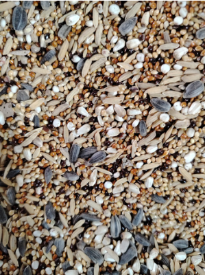Picture of Bird Food Seed Mix for Cockatiel & Love Birds -- 1kg - 1kg