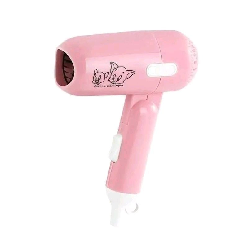 Picture of Mini Portable Hair Dryerc