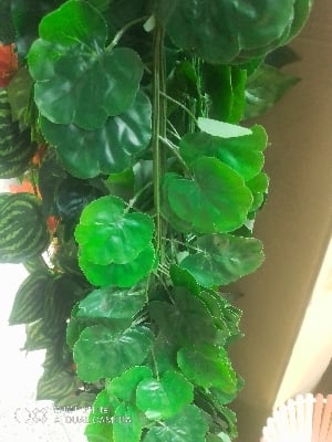 Picture of Hanging Leaf Garland Plant Creeper Leaf Wedding Garden Home Bathroom Silk Green Vine Decor - 1pcs