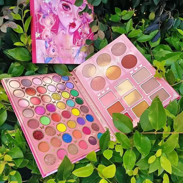 Picture of IGOODCO 48 Color Eyeshadow Palette 6 Blush & 6 highlighter Combo Pallet