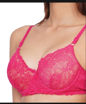 Picture of Export Quality Net Bra for Women - Stylish and
Comfortable Body-Fitting Bra - Multicolor