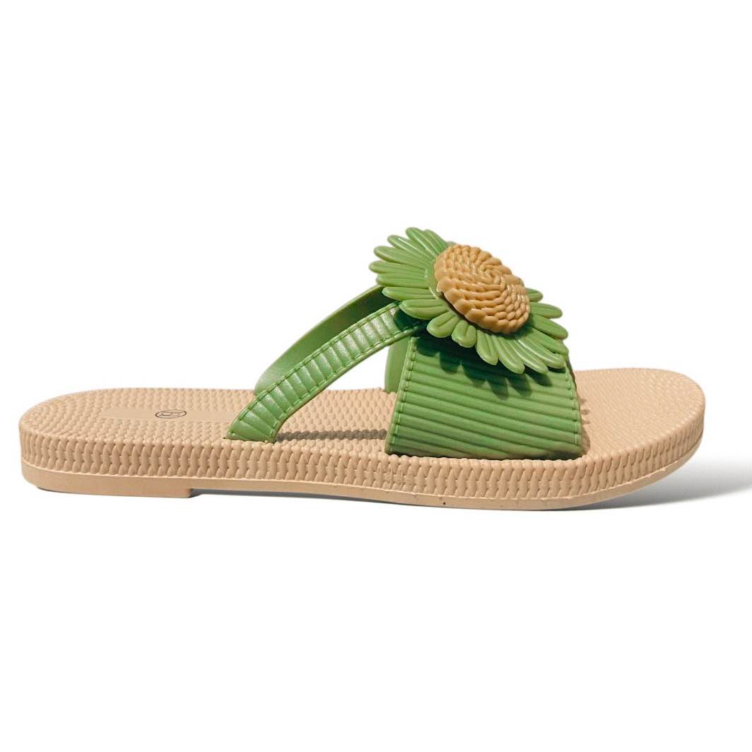 Picture of Womens Flat Regular Shoes New Fashionable Ladies Flat Slipper Sandals New Premium Sandal for Girls Color Brawon Green Pink Size Eu 36-40