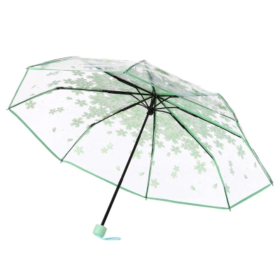 Picture of Compact Transparent Umbrella with Strong Handle | MNK SHOP (Green)