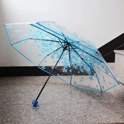 Picture of Compact Clear Umbrella with Wind Resistant Ribs | MNK SHOP (Purple)