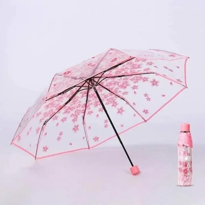 Picture of Foldable Transparent Umbrella for Easy Carry | MNK SHOP (Blue)