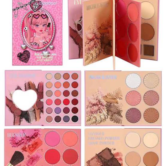 Picture of Igoodco 4 in 1 Viral Makeup Book Item