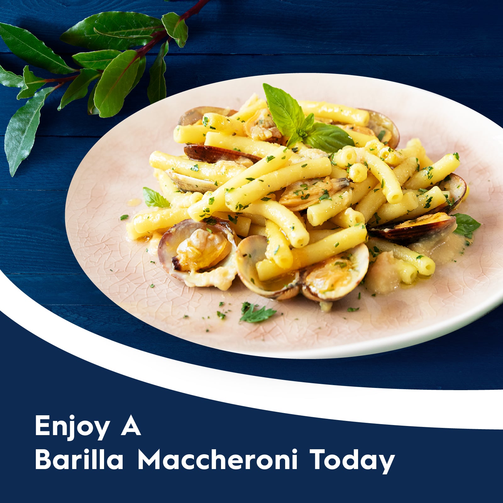 Picture of Barilla Maccheroni N.44 Pasta 500gm