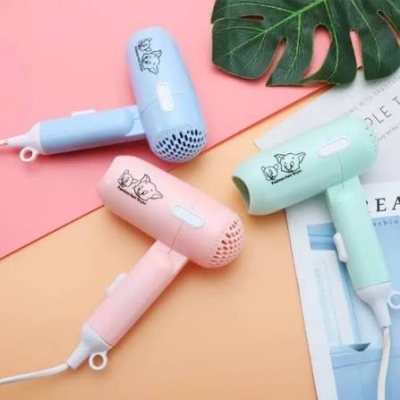 Picture of mini hair straightener and mini hair dryer combo