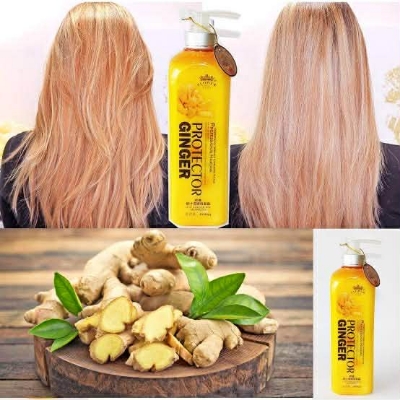 Picture of Protector Ginger Shampoo for Anti Dandruff – 500ml