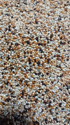 Picture of মিলেট মিক্স ৫০০ গ্রাম