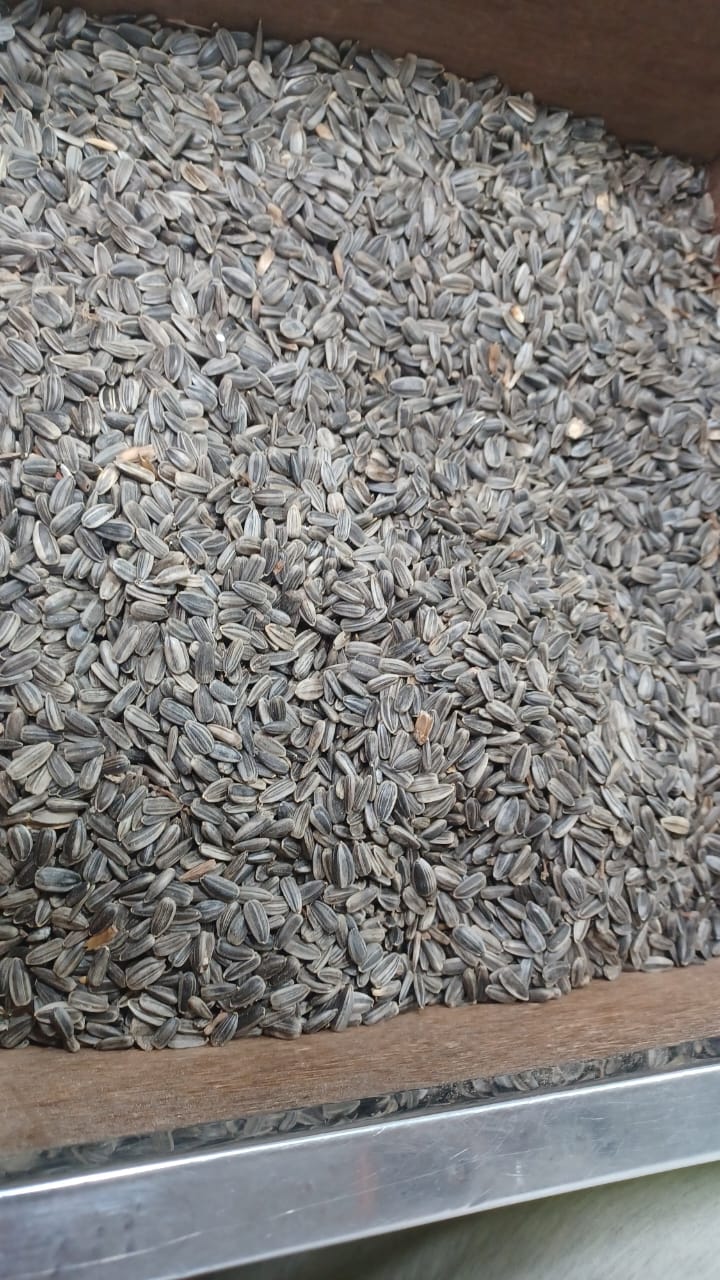 Picture of Niger Seed (Gujitil) For Bird-250g