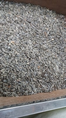 Picture of Niger Seed (Gujitil) For Bird-250g