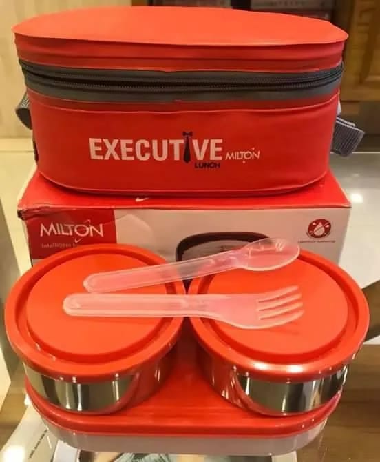 Picture of Milton Executive Lunch Box Soft Insulated Tiffin Box (2 SS Container,1 Microwave Safe Container) - Multicolor