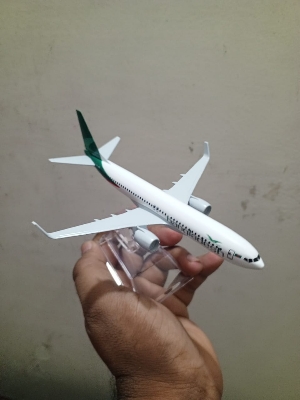 Picture of 16 Cm Metal Alloy Plane Air Biman Bnnladesh Airlines Boeing 737B737 800 Airplane Stand Aircraft Gift - Purple