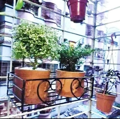 Picture of Metal Grill Rack Hanging Planter Pot 15x8x4 inches -1 Pcs. - Black